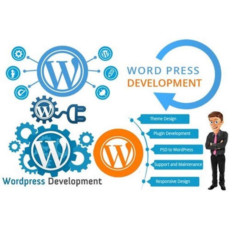 Wordpress Development